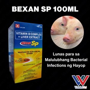 BEXAN SP 100ML for Balanced Animal Health 100ml BExan xp 20 ml Bexan xp injectable 100ml Bexan xp