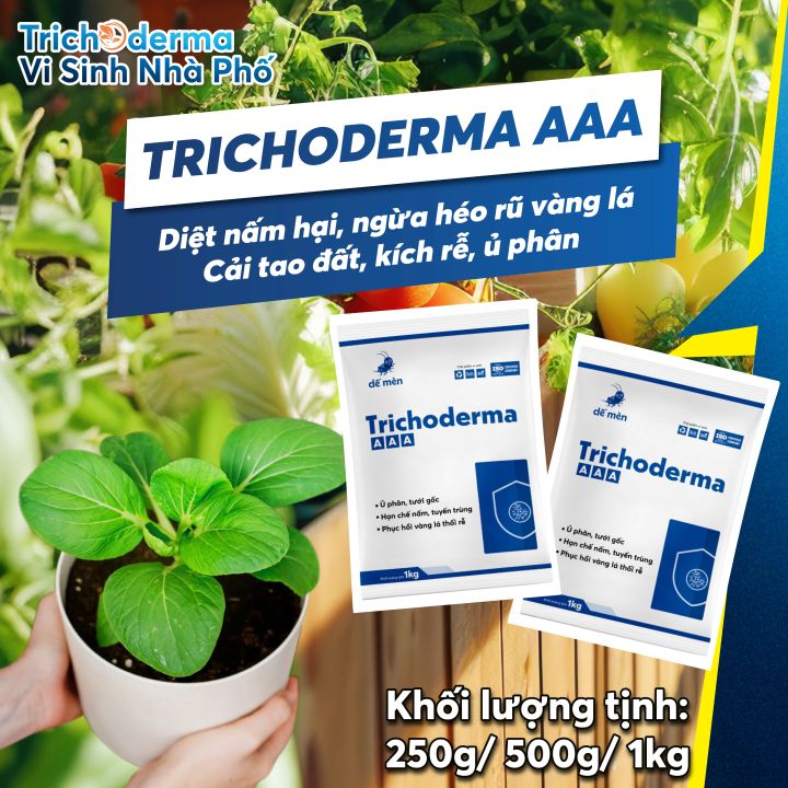 lệnh return trong python: giải thích, cách dùng... Chế Phẩm Trichoderma AAA Dế Mèn – Nấm Đối Kháng Vi Sinh Phòng Bệnh Rễ ...
