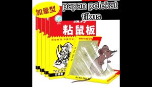 10PCS Large Mouse rat Sticky Mice Rodent Glue Board Bait Trap COD