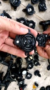 1 Cặp chép mũi lụa cao cấp hát tốt. 589nhattao