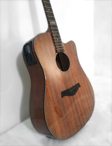 Thomson TS-418C EQ4 Acoustic Guitar with Pickup/Equalizer and Freebies