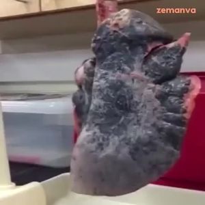 无糖金银花去火梨膏糖 陈皮糖 润喉糖 Sugar-free Honeysuckle Remove Fire Pear Cream Candy Tangerine Peel Candy Throat Candy