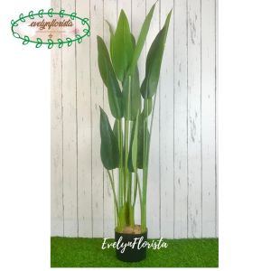Pohon Hias Daun Pisangan Heliconia T120 Latex Artificial Pot Dasar Hitam Plastik Dekorasi Ruang Tamu Pajangan Rumah Aesthetic