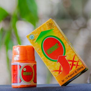 VERMINT Original Kapsul Ekstrak Cacing Tanah Obat Tipes Typus Tipus Isi 12 Kapsul