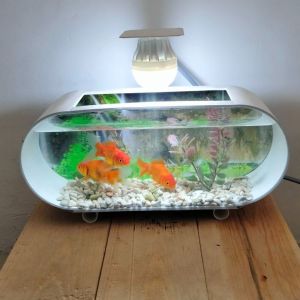 AQUARIUM MINI FULLSET MURAH DAN BAGUS LENGKAP BUNGA HIAS BATU WARNA LAMPU LED DAN MESIN POMPA AERATOR OXYGEN