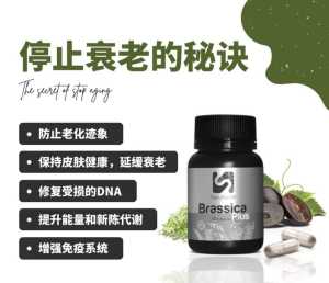 NMN Brassica Plus Malaysia 100% original