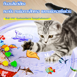 นางปลาตัวน้อย รุ่นโอเชี่ยน ความรู้ เสื่อปีนเขา ทารกทารก สี่เหลี่ยม มีสติปัญญา เบา ปีนและเล่น