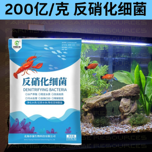 200亿_克 反硝化细菌 20 Billion High-Efficiency Denitrifying Bacteria Water Purification Reduces Nitrite & Ammonia