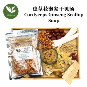 虫草花泡参干贝汤 Cordyceps Ginseng Scallop Soup 滋补润肺 健壮脾胃 药材汤 4-5 person Chinese Herbal Soup