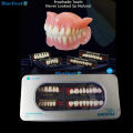 4 Vĩ Răng Giả Nhựa Composite Màu A2 Đủ Bộ 28 Răng Dùng Để Học Mài, Đính Đá, Tháo Lắp Labo Nha Khoa. 