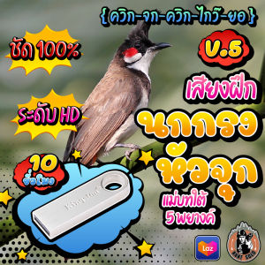 เสียงฝึกนกกรงหัวจุก V.5 ////ควิก-จก-ควิก-ไกว๊-ยอ//// เพลงแม่บทใต้ ยาวสะใจ10ชม. ใส่แฟลชไดร์ฟ เสียงใสชัดเป๊ะ ไม่มีโฆษณาแทรก พร้อมส่ง! เก็บปลายทาง