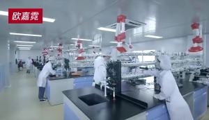 Factory Direct Sale Antiperspirant Refreshing Long-lasting Deodorant Genuine Body Antiperspirant Odor Roll-on for Men and Women