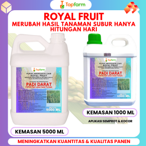 Pupuk Padi Darat Terbaik / Pupuk Padi Lahan Darat / Pupuk Pelebat Buah Padi Darat / Pupuk Cair Untuk Tanaman Padi / Pupuk Semprot Untuk Tanaman Padi Darat / Pupuk Anorganik TopFarm