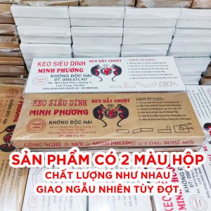 10 Chiếc Keo Bẫy Chuột Minh Phương - Bẫy Mọi Loại Chuột