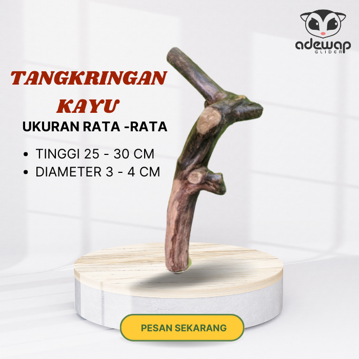 Tangkringan Ranting Kayu Vertikal untuk Hewan Sugar Glider Tupai Burung ...