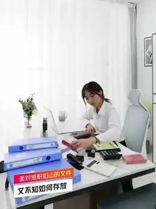 Steel Low Cabinet Office Locker with Drawer Small Cabinet under Desk Multifunctional Cabinet File Cabinet with Lock Iron Locker