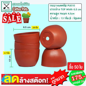 กระถางแคคตัส แบรนด์ P&U กระถางกระบองเพชร 50 ใบ ขนาด 2.5 นิ้ว มีหลายสีให้เลือก