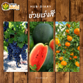 🌽 7-17-37 (ปุ๋ยเกล็ดเรือใบ) 1กิโลกรัม เร่งหวาน เร่งสี เร่งหัว เพิ่มน้ำหนัก ป้องกันผลล้ม. 