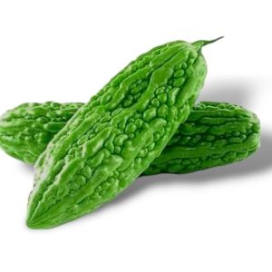 Replika Buah Pare peria paria (1pcs) / Mainan anak / Edukasi anak / Dekorasi meja makan / Display Restaurant Hotel Dan lain lain