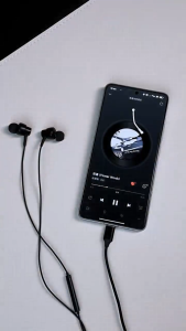 AIDOGA AUD-611 In-Ear Earphones Hi-Fi Low Latency Noise Cancellation Wired Headphone for Lightning Type-C 3.5mm 1.2M Length