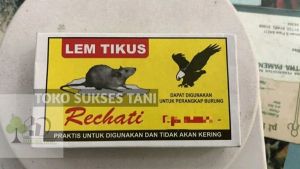 Lem tikus RECHATI juga bisa untuk perangkap burung