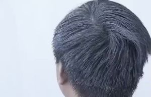 Black/Brown Plant Hair Dye Cream Herbal Hair Dye Shampoo with Comb covering gray haireasy to color