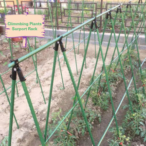 Durable Climbing Plants Vine Rack Flower Gardening Tools Vegetables Trellis Plant Support