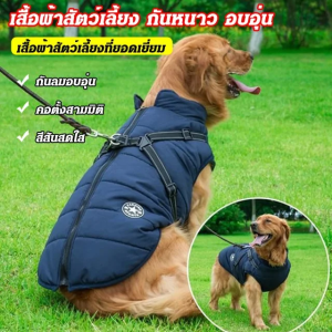 เสื้อกั๊ก ผ้าไนลอน ขนสัตว์และหนาขึ้น กระโปรง สะท้อนแสงเต็มที่ในเวลากลางคืน ซิปโลหะ ให้อบอุ่น แฟชั่น