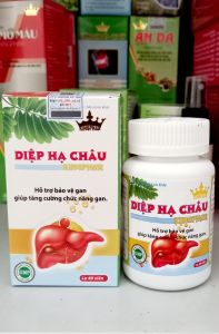 [ HÀNG CHÍNH HÃNG ] Viên uống Diệp Hạ Châu Kingphar - Giúp bổ gan  tăng cường chức năng gan  hạ men gan  giảm mẩn ngứa - Hộp 40 viên.