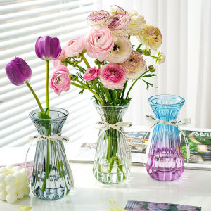 【MY仓发货 【2.1万人好评 欧式水培玻璃花瓶简约透明水培鲜花绿萝干花花瓶植物花瓶客厅摆件 彩色颜色随机