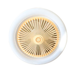 Small Ceiling Fan With Light E27 Lamp Head Dimmable With Remote Control