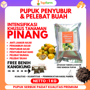Pupuk Pinang Agar Cepat Berbuah / Pupuk Untuk Tanaman Pinang / Pupuk Pinang Pelebat Buah / Pupuk Pembesar Buah Pinang