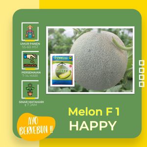 Benih Melon Tahan Virus HAPPY F1 Benih Unggul Berkualitas Tinggi +- 550 Biji - Sejahtera Seed