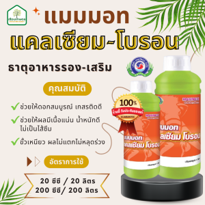 แมมมอท แคลเซียม-โบรอน ช่วยไห้ดอกสมบูรณ์ เกสรติดดี ขั้วเหนียว ของแท้100% ขนาด 1 ลิตร