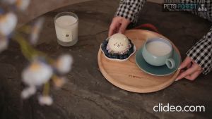 【WooHuloo】Smart Cat Litter Box | 10L Storage Bin |  24 Electronic Sensors | Smart Apps Control