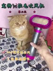 Hair Dryer Hair Pulling Integrated Small and Medium Sized Cat Dog Water Blower Dog Blow-Drying Hair Pulling Artifact Low Noise Drying