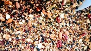 BỘT NGŨ CỐC LỢI SỮA CHO MẸ SAU SINH GỒM 17 LOẠI HẠT LỢI SỮA ĐẸP DA LỢI SỮA TĂNG CÂN HOẶC GIẢM CÂN HealthyFood3Banvatlanhmanh