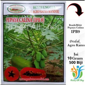 Benih Bibit Pepaya Calina IPB-9 CALIFORNIA isi 10Gr sekitar 500 Biji Benih Pepaya CALINA IPB-9 CALIFORNIA Unggulan Agro Kates Mandiri