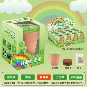Set Tanam Mini Kanak Kanak DIY Pokok Sayur Bunga Pendidikan Prasekolah Hadiah Edukasi Kids Mini Plant Blind Box Flower Vegetables DIY Kindergarten Science Education Gift 儿童迷你种植盲盒花卉蔬菜DIY观察盆栽植物幼儿园科教礼物 E306