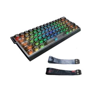 Professional Magnetic Switches Keyboards 61Keys Ergonomic Layout Adjustable RGBs Backlit For PC