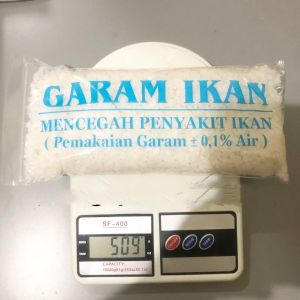 GARAM GAREM IKAN