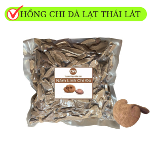Nấm linh chi đỏ Đà Lạt Thái Lát 500g (Hồng chi vị đắng cao) - Cây Nấm Việt
