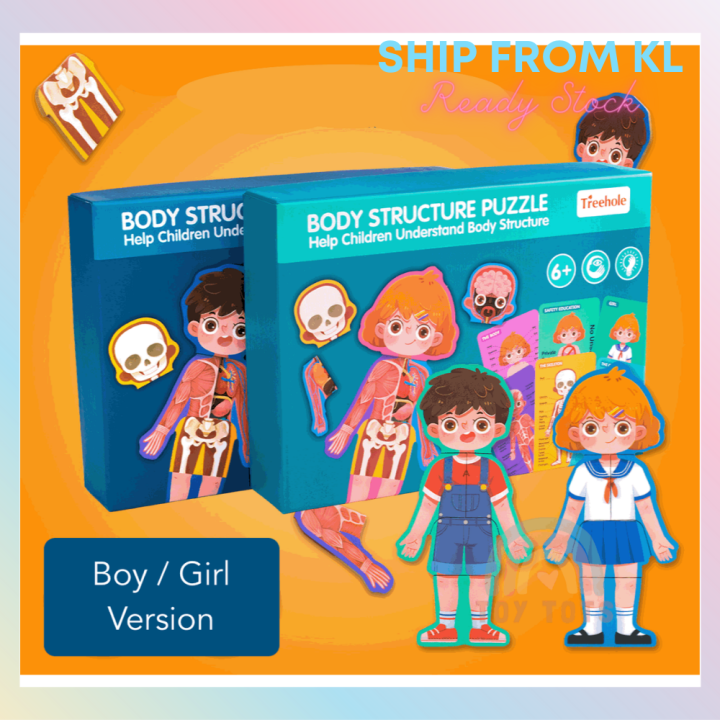 Wooden Kids Body Parts Structure 36pcs Bilingual Puzzle Box Set Early ...