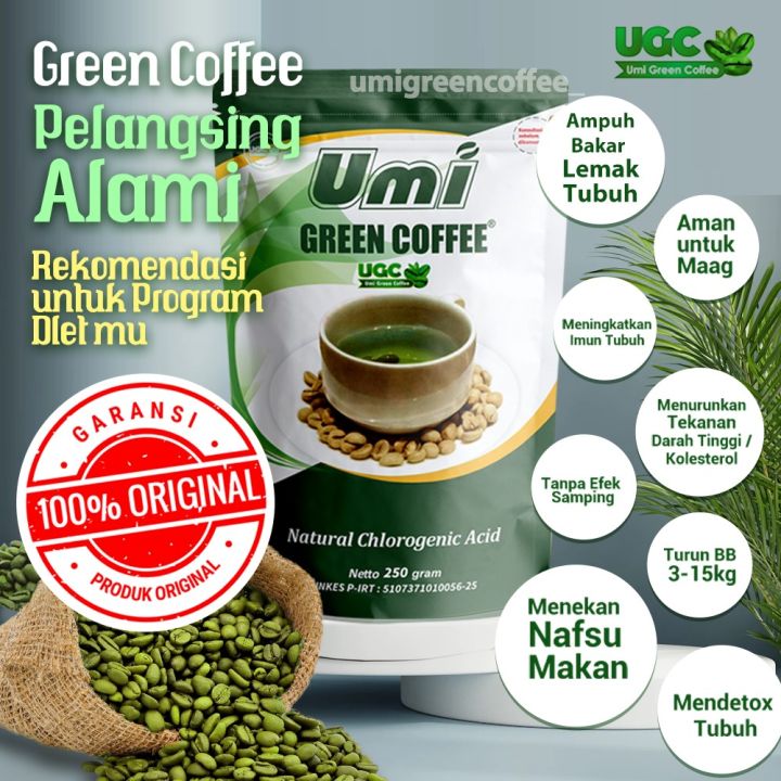 Umi Green Coffee Pelangsing Original Kemasan Baru, UGC Kopi Penurun ...