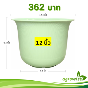 กระถาง กระถางต้นไม้ มินิมอล ถ้วยจีน ขนาด 12 นิ้ว สีเขียวพาสเทล 5 ใบ ชิ้น อัน