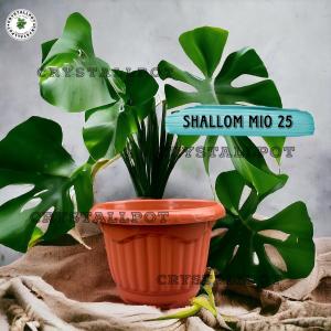 POT BUNGA TANAMAN SHALLOM MIO KUPING MERAH BATA BAHAN TEBAL - SHALLOM MIO KUPING