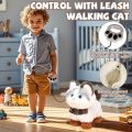 Walking Cat Toys for Kids with Leash, Plush Toy Cat That Walks and Meows, Interactive Cat Toy for Kids Aged 3-7, Best Birthday, Children's Day for Girls and Boys. 