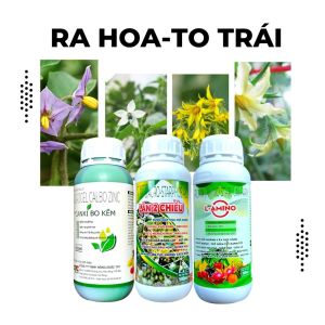 Ra Hoa Đậu Hoa Dính Trái Nuôi Trái Cà Tím Cà Chua Ớt Ớt Chuông Canxi Bo Kẽm + Lân 2 Chiều + L-Amino