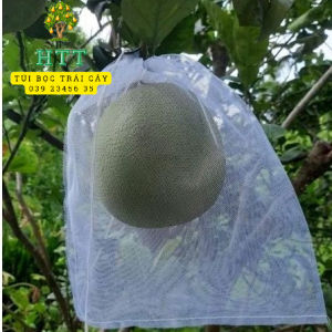 [ 25*35cm ] 100 CÁI TÚI LƯỚI TỐT BAO BỌC TRÁI DƯA LƯỚI  BƯỞI  CHÙM MẬN .. - VẬT TƯ NÔNG NGHIỆP