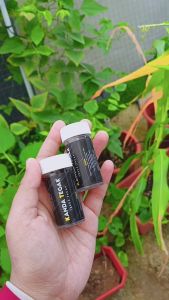 in stock Jamu Kanda Tegak Original Direct Hq